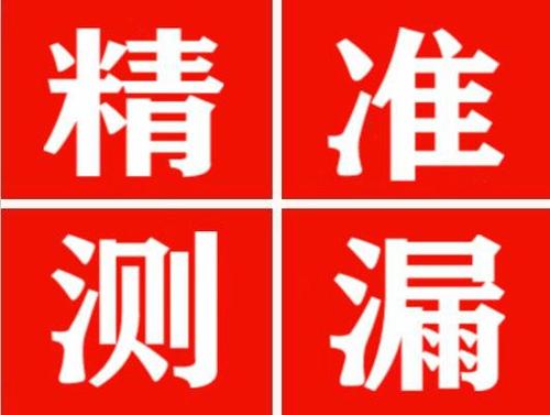 望奎尚嘉漏水精准查找