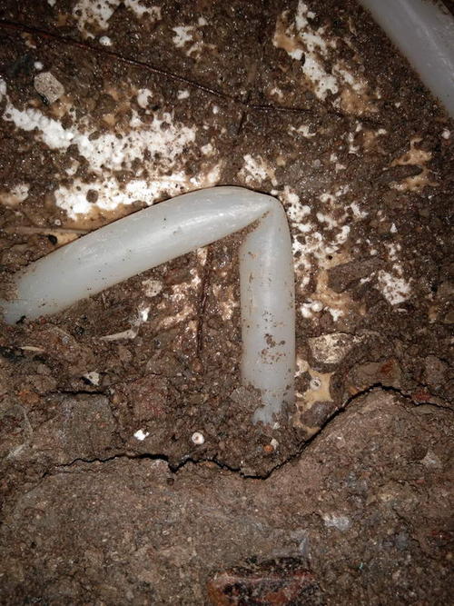 望奎堵点精准查找